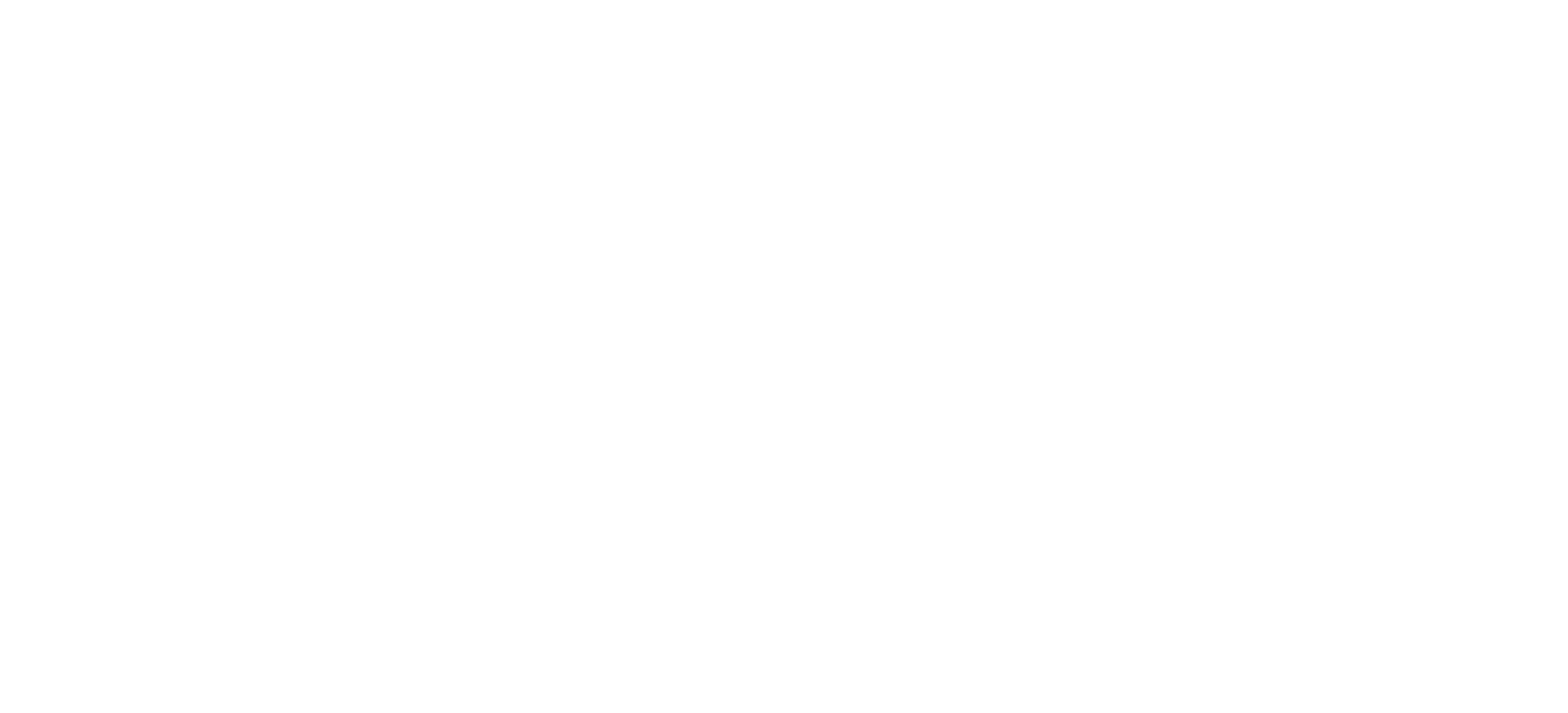 Order Insight Logo RGB White Stacked